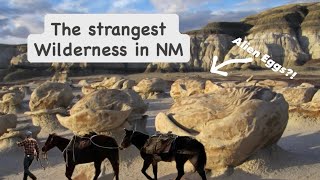 A Wilderness like no other: Bisti Badland/ De-Na-Zin Wilderness