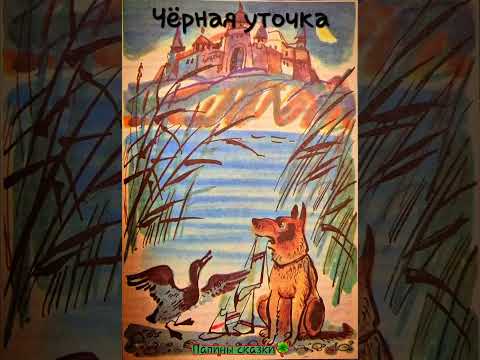 Чёрная Уточка