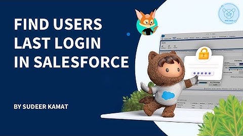 How to Find Users Last Login Date and Time In Salesforce?