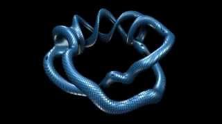 Famous Torus Bundle 4 Wealth