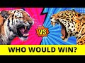 SUMATRAN TIGER vs PANTANAL JAGUAR - Who Would Win?