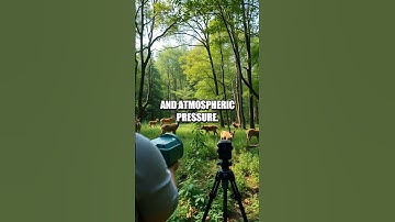 The Potential of Quantum Sensors in Environmental Monitoring