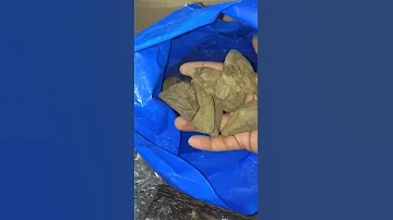 وصول جديد العود القماري والبخورات 