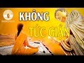 Không tức giận là phẩm chất của người đại trí tuệ - Thanh Tịnh Pháp.