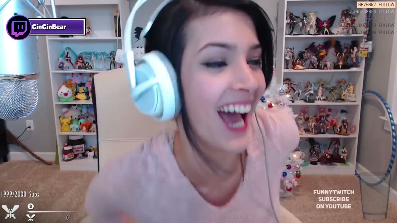 Cincinbear Hot