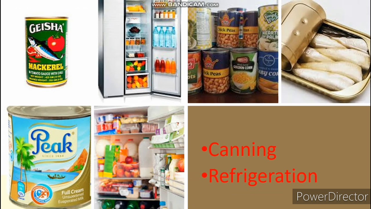 Food Preservation And Storage YouTube