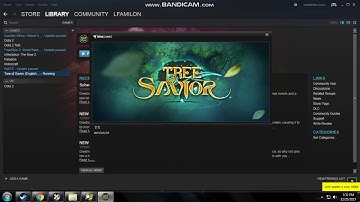 Tos Client not launching the game