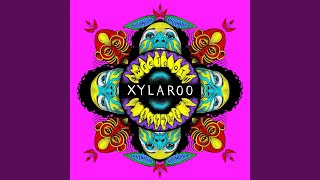 Video thumbnail of "Xylaroo - Devil in Me"