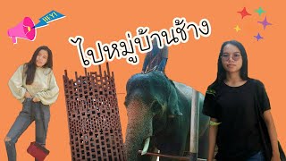 PANISA - เที่ยวหมู่บ้านช้างสุรินทร์ l Elephant World, Surin