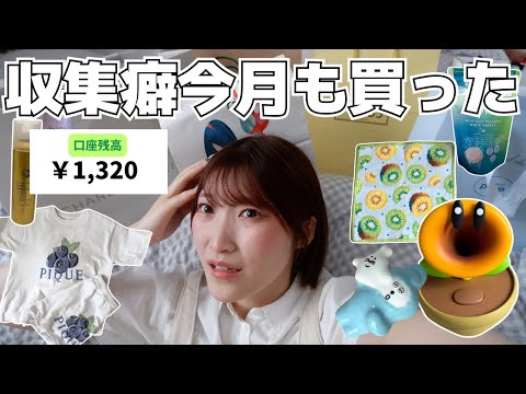 毎月散財が止まらない収集癖の購入品紹介