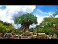 My Saturday Experience at Disney's Animal Kingdom - Filmed in 4K | Walt Disney World Florida 2021