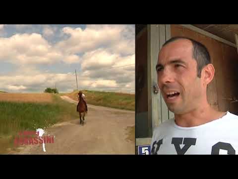 I dieci assassini - Valter Pusceddu detto