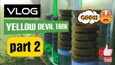 Yellow Devil tank Vlog 3-2021 part 2