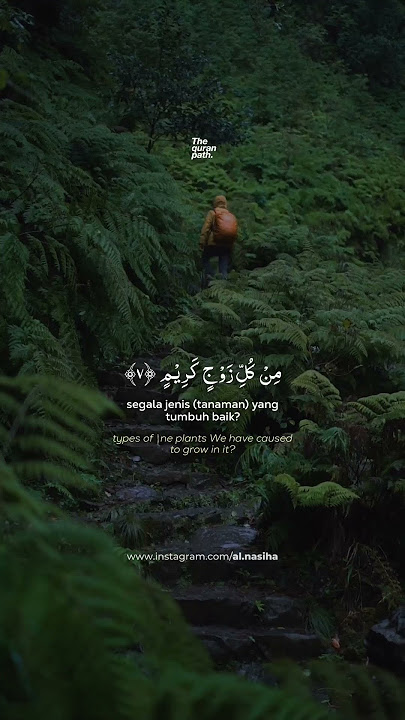 Surah Asy Syu'ara Ayat 7-9  Muhammad Hisyam  #murottal #quran  #hijrah #shorts