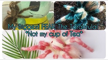 Exotic and Fascinating, Yet Tarantula is STILL My BIGGEST FEAR! | Amazing Cute Pets Bonding