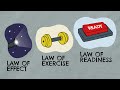 Understanding Stimulus-Response Theories