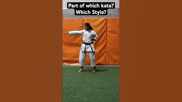 Karate kata training for beginners