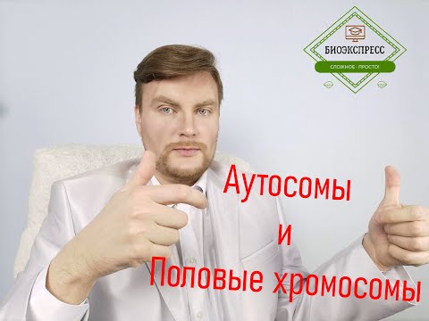 Аутосомы и половые хромосомы. ЕГЭ Биология. ЕГЭ 2022.