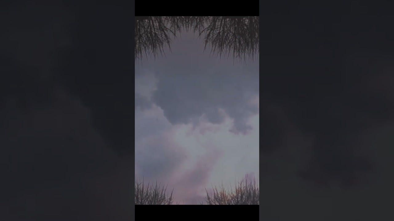 Mira Arjuna Schiks - Wolkenveld (Video) en YouTube