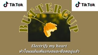 [แปลเพลง] Jack Stauber - Buttercup