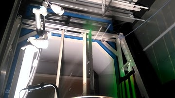Dynamic gust response measurements of a flexible wing using PIV in a wind tunnel at TU Delft