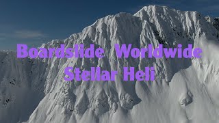 Boardslide Worldwide Stellar Heli