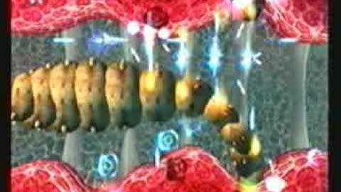 Gradius V Loop 6 Stage 4-3 by BGR-44