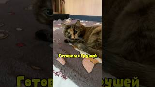 Готовим известный салат с кисой #cat #котик #жизнь