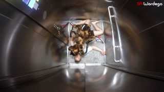 Mutant Giant Spider Dog SA Wardega, Тот самый костюм собаки Mutant Giant Spider Dog SA Wardega, Тот самый костюм собаки