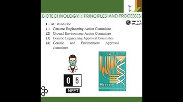 Biotechnology principles and processes class 12 #neet #neet2024