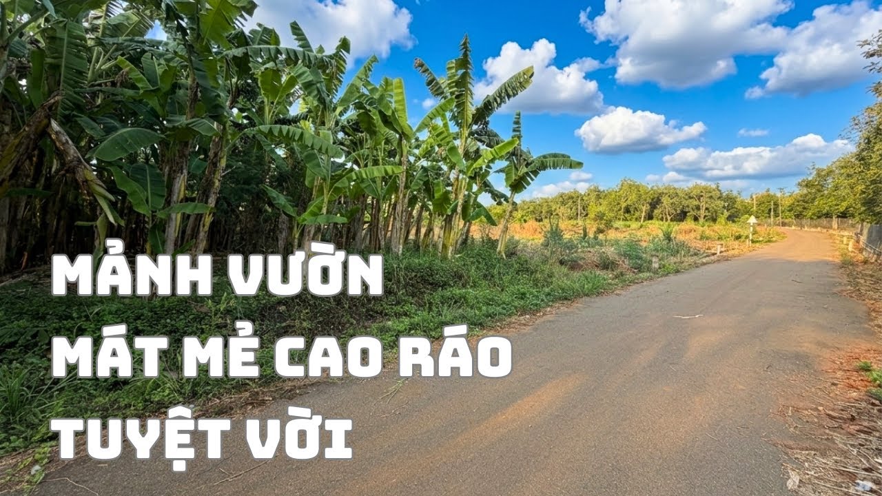 ☘️Mảnh Vườn Quá Ưng Ý Để Ở Lâu Dài Yên Tĩnh Với Diện tích Lớn 1000 & 2973m2 Hai Mặt Tiền Tại BRVT