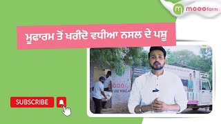 Mooofarm pashu farm, ab Libra Punjab mai bhi! screenshot 3