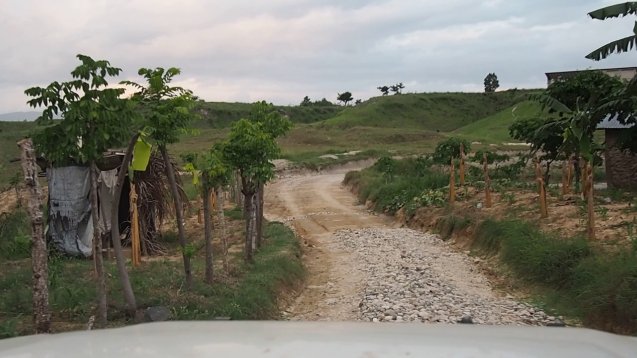 Driveway Movie YouTube