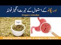 Top 7 Health Benefits Of Oregano In Hindi Urdu| Oregano Ke Fayde| Dietitian Ayesha Razzaq