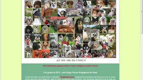 Finding niche forums