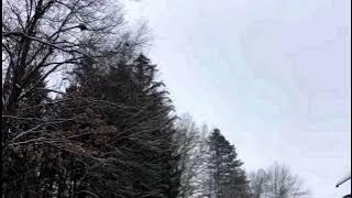 Just a kiss / slowed & reverb