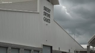 Central Georgia sheep and swine to receive new facility at Perry fair grounds | Central Georgia News