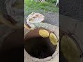 GRANDMA COOKING TANDOORI BREAD | VILLAGE LIFE COOKING | RELAXING COUNTRYSIDE LIVING