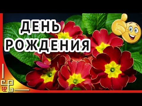 С днем рождения в апреле. Красивое поздравление с днем рождения. Музыкальное поздравление