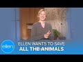 Ellen Wants to Save All the Animals