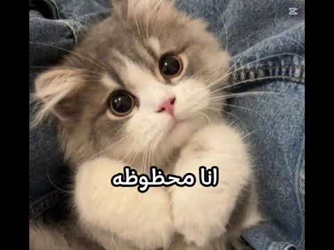 انا محظوظة