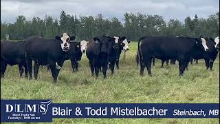 DLMS Direct - Blair & Todd Mistelbacher - Lot 20 strs