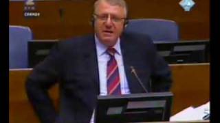 Vojislav Šešelj i svedok VS 1028(8/9)