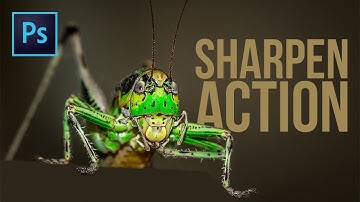 FREE Customizable Action to Sharpen Your Images in Photoshop