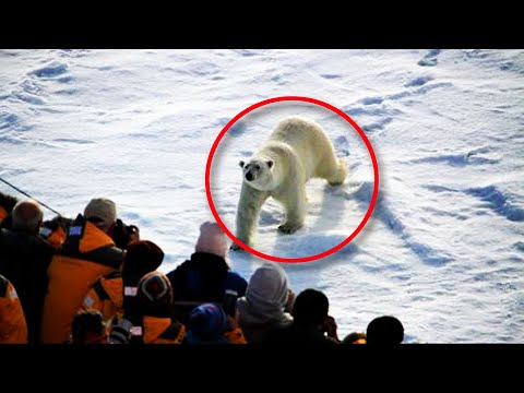 Video: Historien og formålet med 