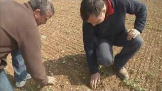 Sécheresse: Restrictions d'eau dans l'Aube