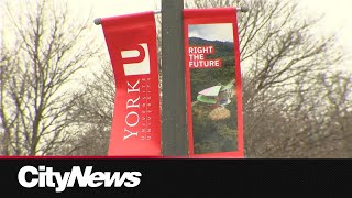 York University students call for refund