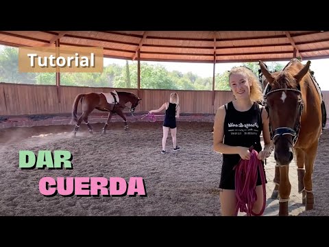 Vídeo: Com Ensenyar A Un Cavall A Inclinar-se