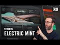 Bien dbuter avec electric mint  une guitare virtuelle emblmatique  native instruments