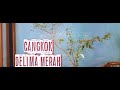 Cangkok Delima Merah untuk Bahan Bonsai | Bahan Bonsai Delima 2020| Bonsai | Bisnis Delima Merah |